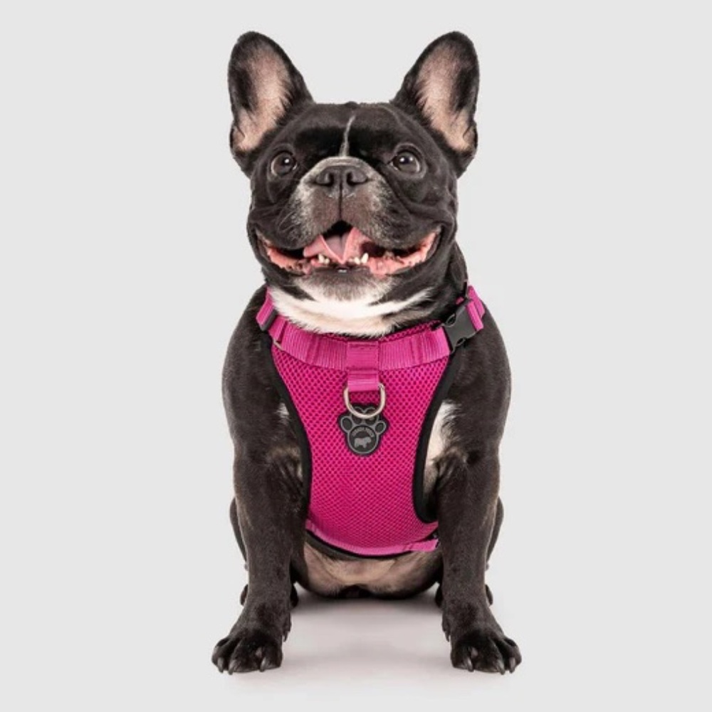 CANADA POOCH THE EVERYTHING HARNESS MESH SERIES PINK LARGE